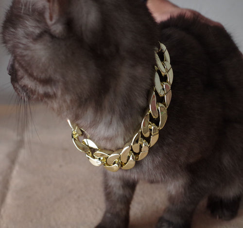 Cadena Cubana para Mascotas - Premium