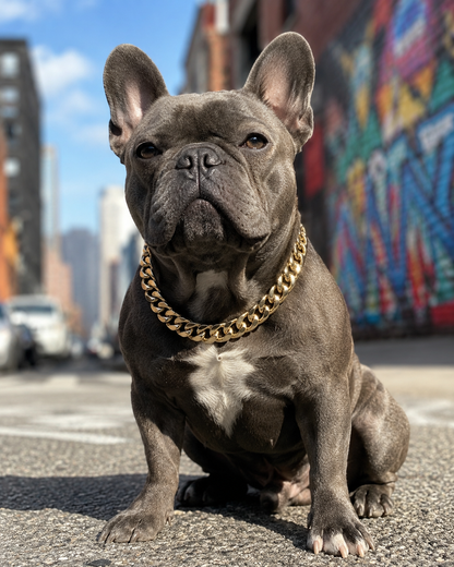 Cadena Cubana para Mascotas - Premium